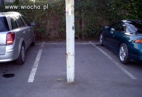Tu tu masz wolne