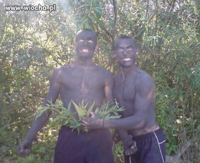 Mudziny