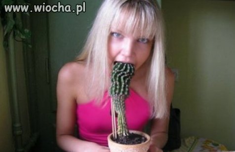 Blonda i kaktus