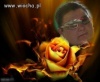 Ehh , kolejna mistrzyni photoshopa