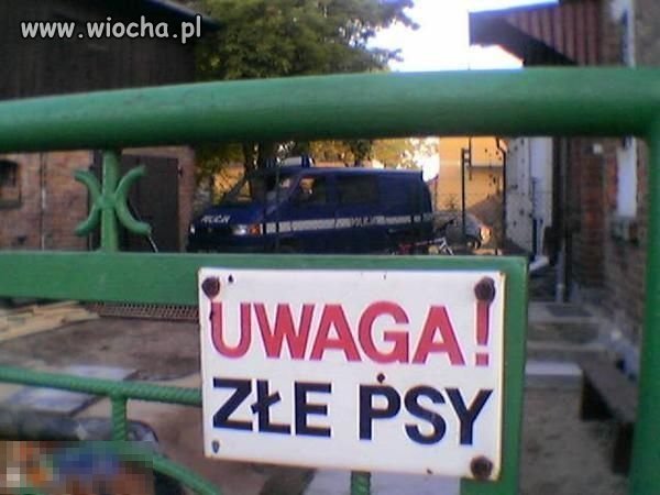 Złe psy
