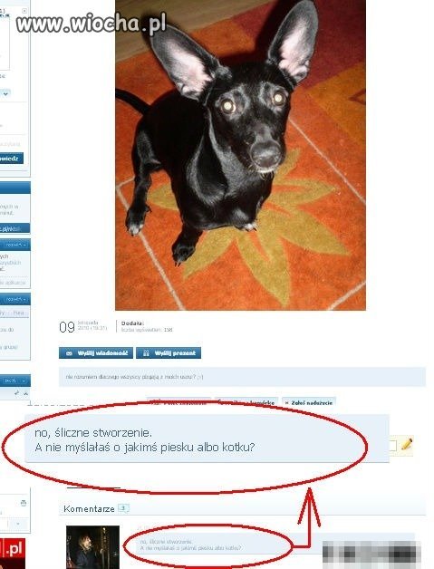 Haha
