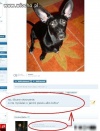 Haha