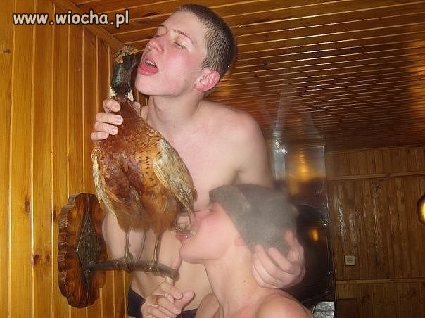 Takie tam z bażantem