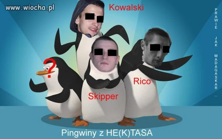 Miały być pingwiny