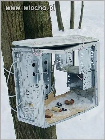 Karmnik dla ptaszów
