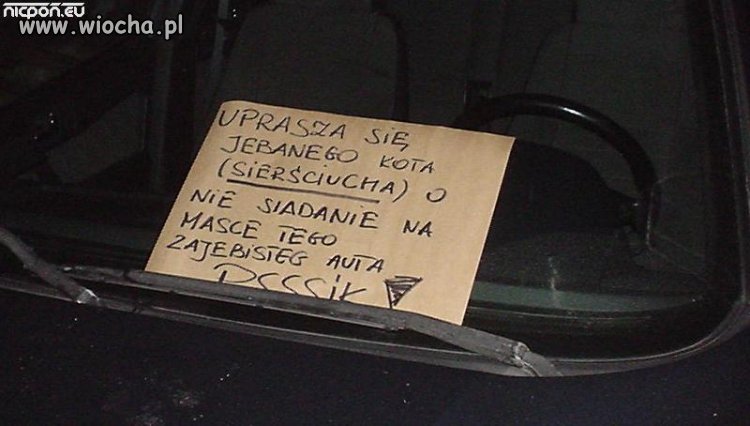 Na pewno kot, przeczyta
