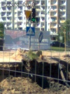Zielone światło...