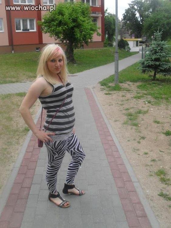 Zeberka 