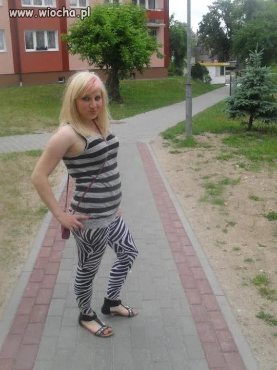 Zeberka 