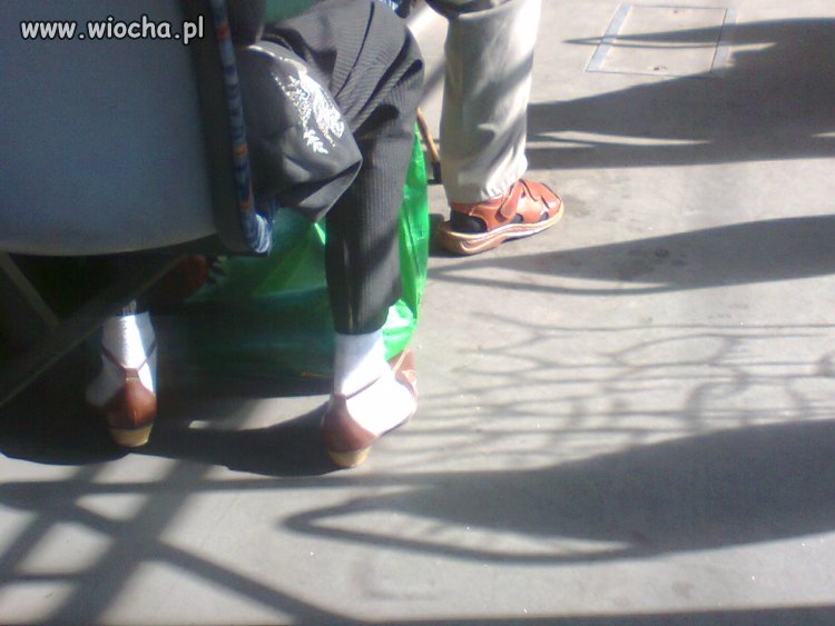 Piękna moda 