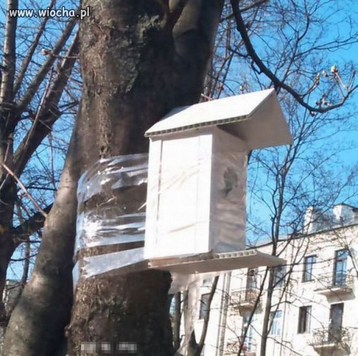 Jak dla mnie to wiocha