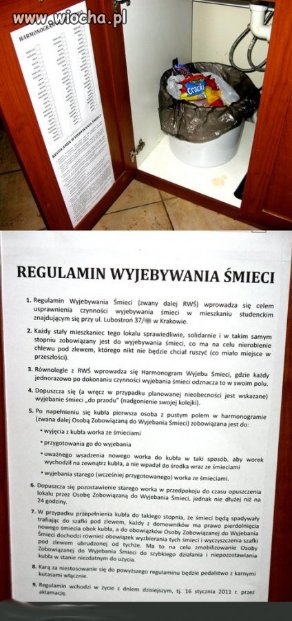 Regulamin 