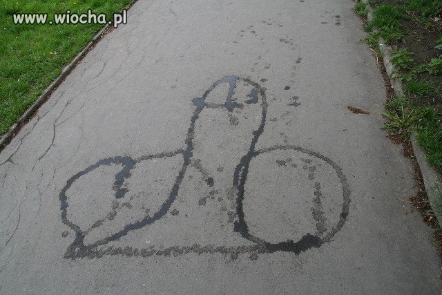 Wiocha dla miasta