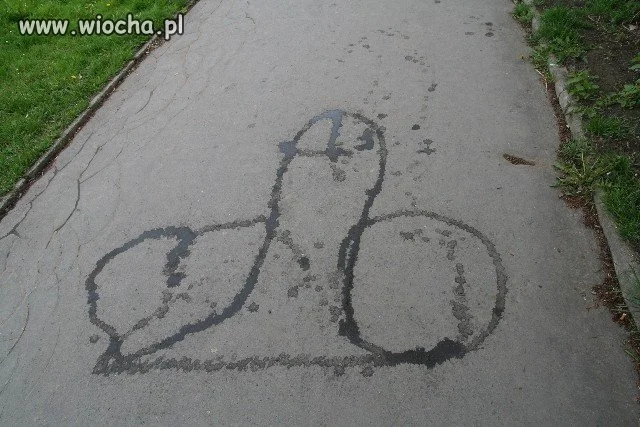 Wiocha dla miasta