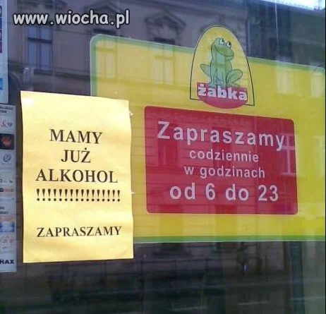 żabka  zawsze blisko 