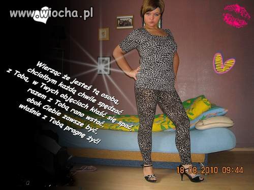 Tygrysek szuka