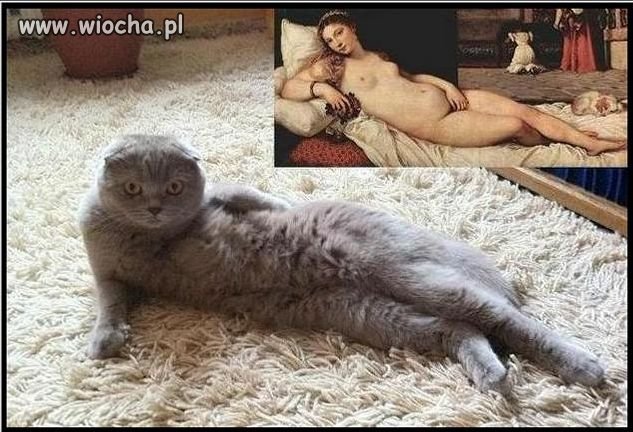 Arcydzieło... kota... kocie... ?!