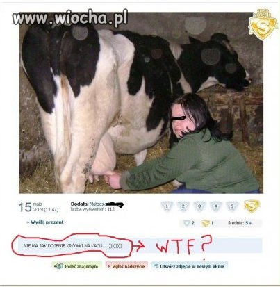 Czy to nie jest Wiocha?