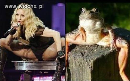 Uderzające podobieństwo 