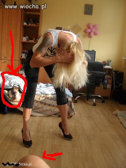 Najlepszy na tym zdj jest pies 