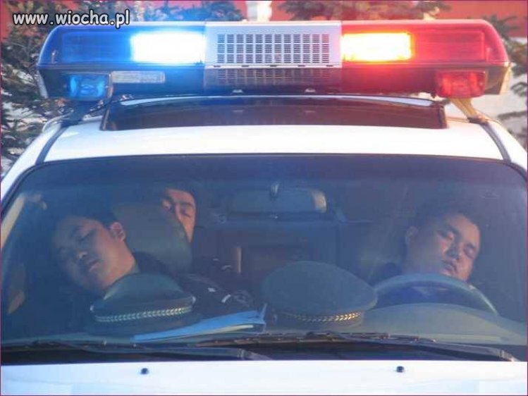 Ciężka praca policjantów
