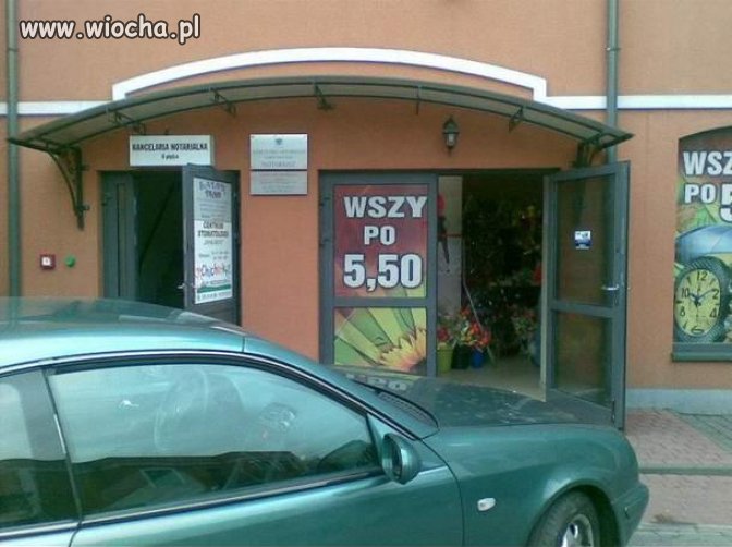 Wszy 