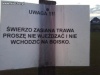 Polscy ortografiści