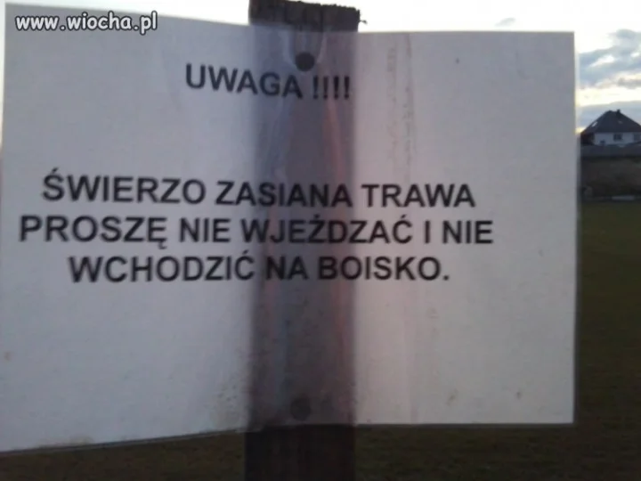 Polscy ortografiści