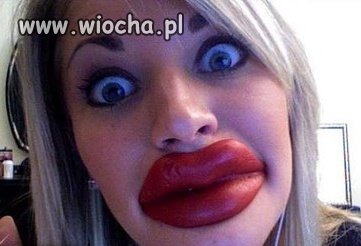 Wtf?!