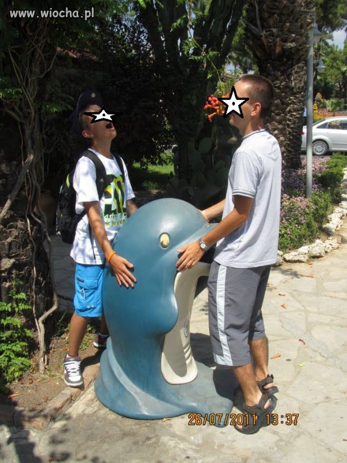 Delfinek