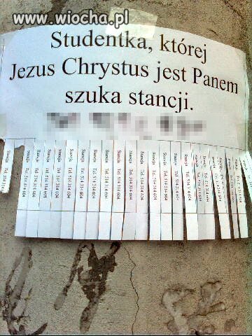 Szukam stancji