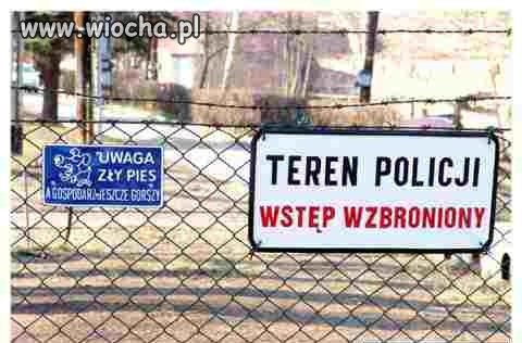 Uwaga pies!!