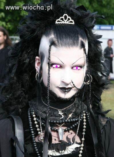 Czarna wdowa