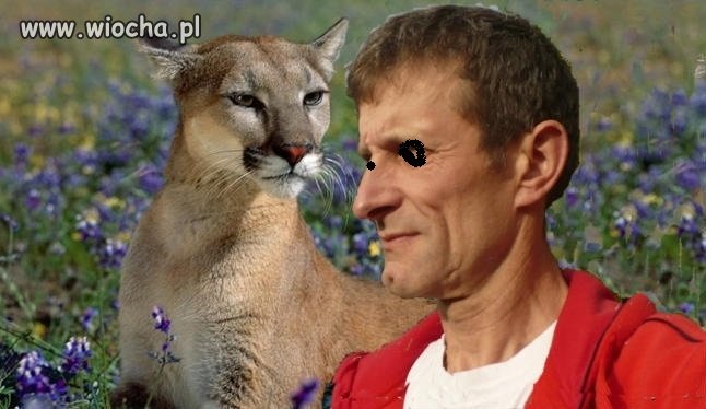 Mistrz Photoshopa