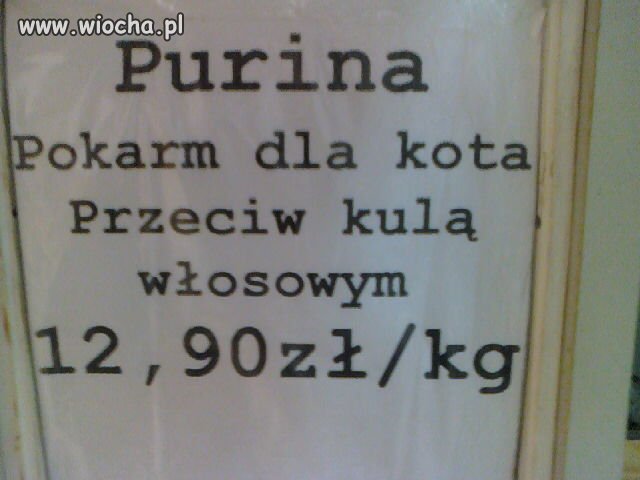 W sklepie zoologicznym...