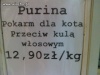 W sklepie zoologicznym...