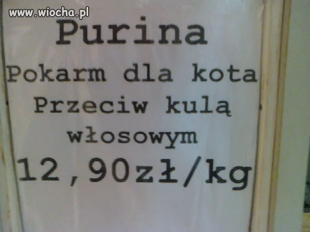 W sklepie zoologicznym...