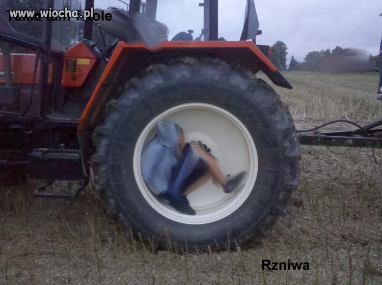Takie tam...(Rz)niwa