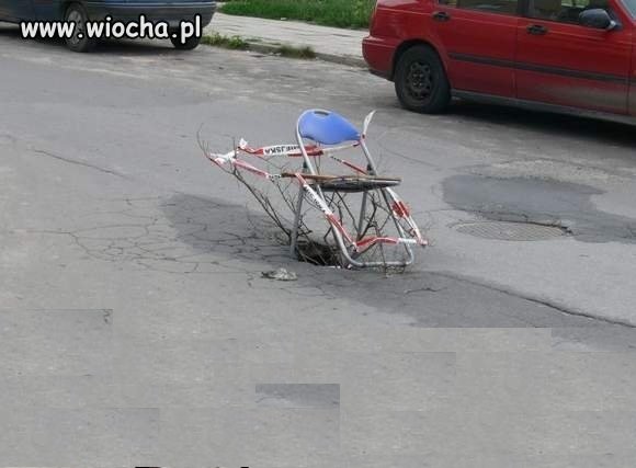 Profesjonaliści