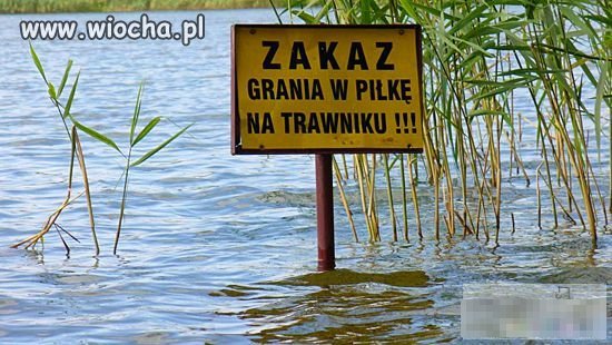 Zakaz gry