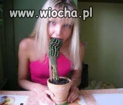 Blondyna