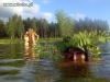 Wodny zwiadowca