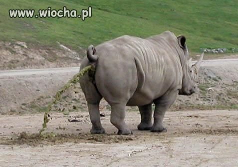 Nie ma to jak...
