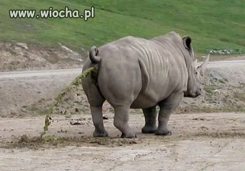Nie ma to jak...