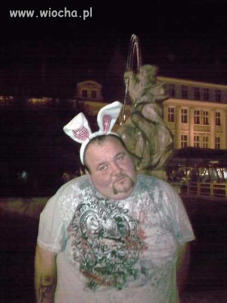 Kroliczek Playboya