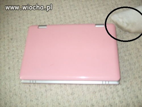 Nie ma to jak dobra zachęta dla kupującego...