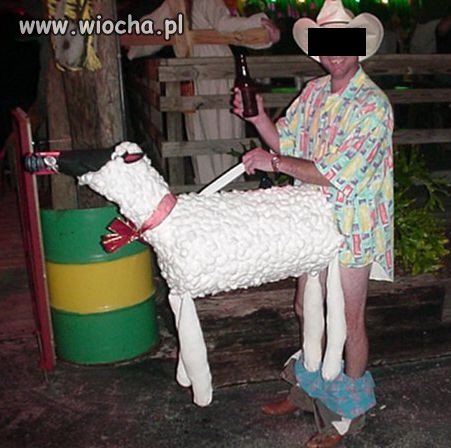 Fanatyk zwierzątek