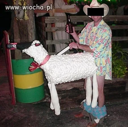 Fanatyk zwierzątek