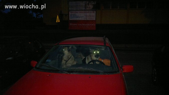 I co teraz?